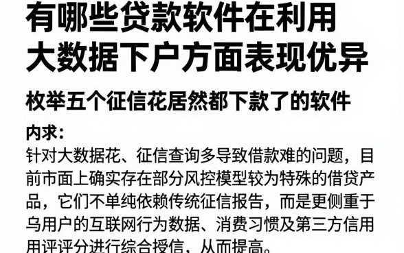 有哪些贷款软件在利用大数据下户方面表现优异,枚举五个征信花居然都下款了的软件