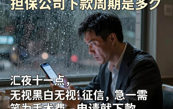 担保公司下款周期是多久,汇总5个无视黑白无视征信申请就下款的平台