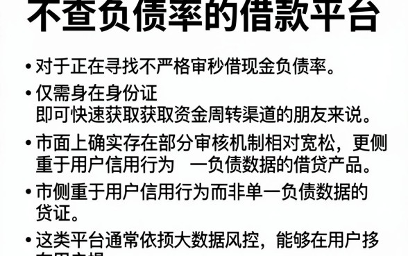 不查负债率的借款平台，详尽说明五个手机身份证秒借现金的软件