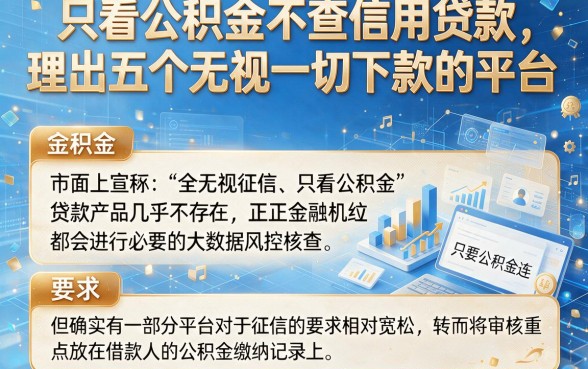 只看公积金不查信用贷款，理出五个无视一切下款的平台