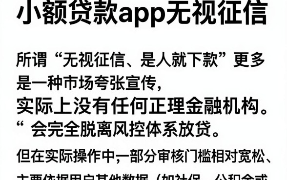 小额贷款app无视征信，详尽说明5个无视一切是人就下款软件