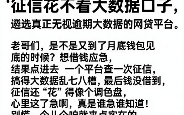 征信花不看大数据口子，遴选五个真正无视逾期大数据的网贷平台