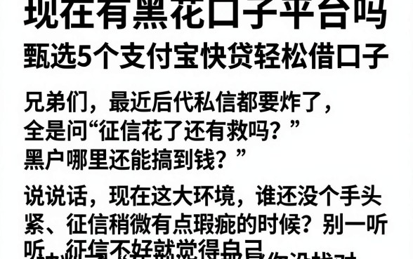 现在有黑花口子平台吗，甄选5个支付宝快贷轻松借口子