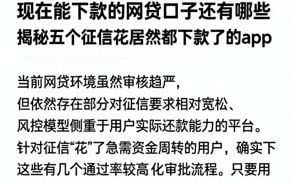 现在能下款的网贷口子还有哪些,揭秘五个征信花居然都下款了的app
