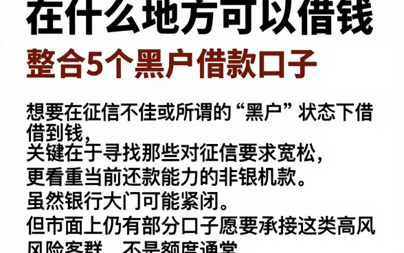 在什么地方可以借钱,整合5个黑户借款口子