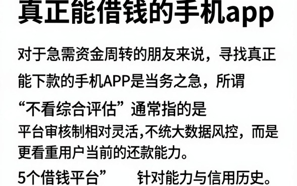 真正能借钱的手机app,详细阐述5个借钱平台不看综合评估的软件