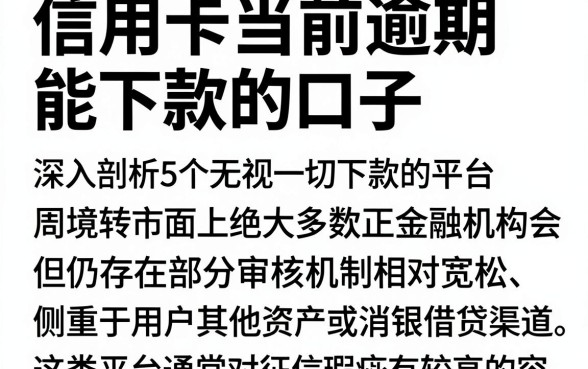 信用卡当前逾期能下款的口子，深入剖析5个无视一切下款的平台
