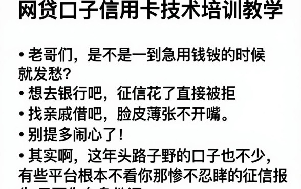网贷口子信用卡技术培训教学,理出五个黑户下款app