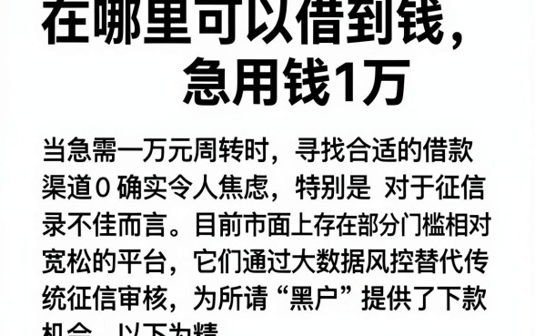 在哪里可以借到钱急用钱1万,概览五个黑户0门槛贷款平台