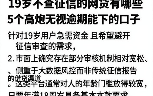 19岁不查征信的网贷有哪些,详尽说明5个高炮无视逾期能下的口子