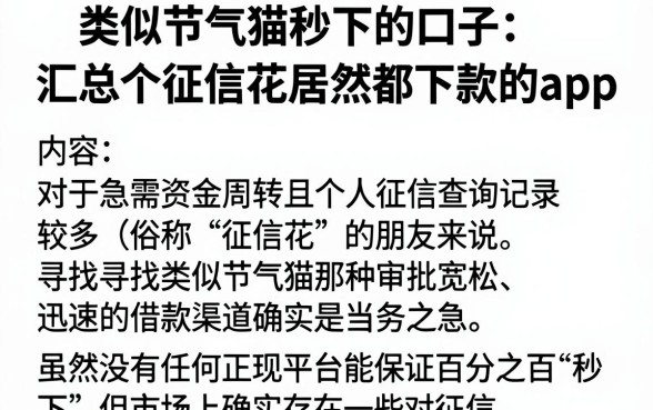 类似节气猫秒下的口子,汇总五个征信花居然都下款的app