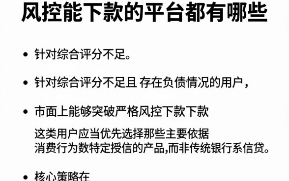 风控能下款的平台都有哪些,筛选五个综合评分不足有负债都能下款软件