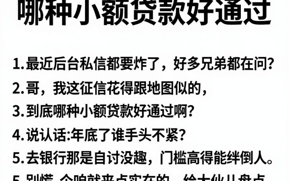 哪种小额贷款好通过,理出5个12月能贷款的平台