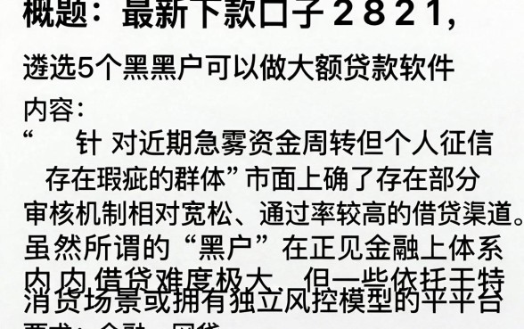 最新下款口子2821,遴选5个黑户可以做大额贷款软件