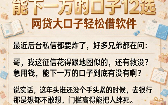 能下一万的口子12选,详细阐述五个网贷大口子轻松借软件