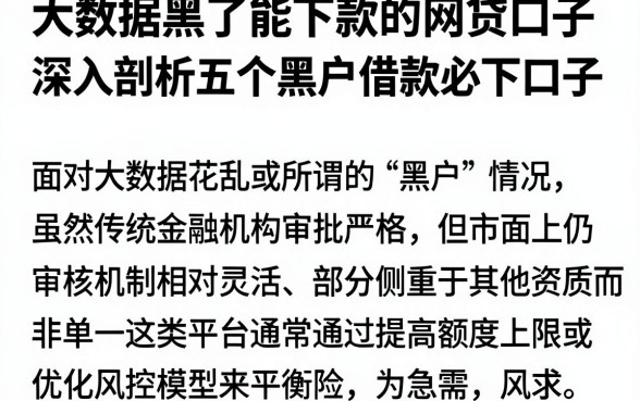 大数据黑了能下款的网贷口子，深入剖析五个黑户借款必下口子
