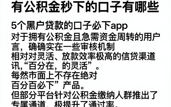有公积金秒下的口子有哪些,详细阐述5个黑户贷款的口子必下app