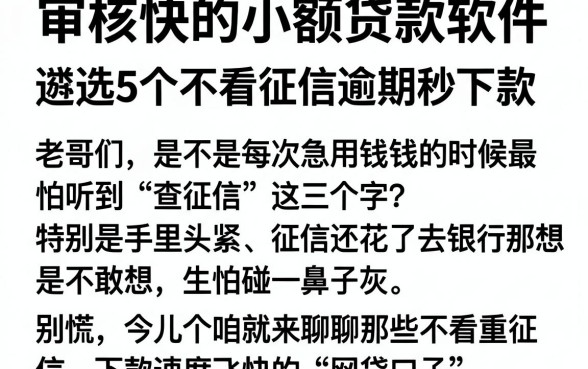 审核快的小额贷款软件,遴选5个不看征信逾期秒下款的贷款