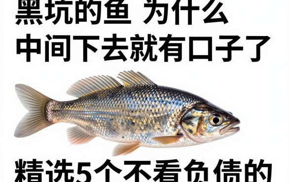 黑坑的鱼为什么中间下去就有口子了,精选5个不看负债的网贷口子