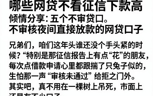 哪些网贷不看征信下款高，倾情分享五个不审核夜间直接放款的网贷口子