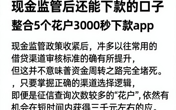 现金监管后还能下款的口子，整合5个花户3000秒下款app