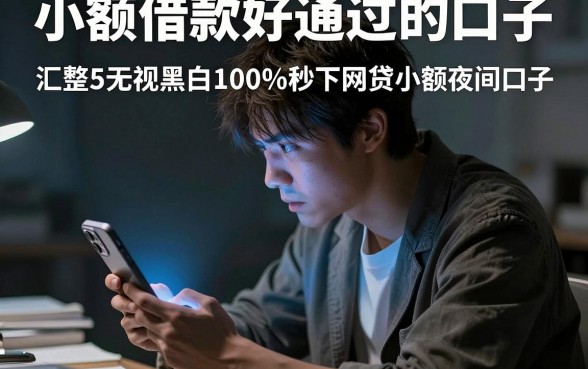 小额借款好通过的口子，汇整5个无视黑白100%秒下网贷小额夜间口子