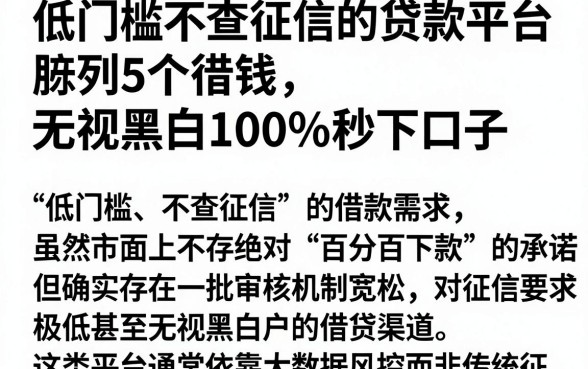 低门槛不查征信的贷款平台,胪列5个借钱无视黑白100%秒下口子