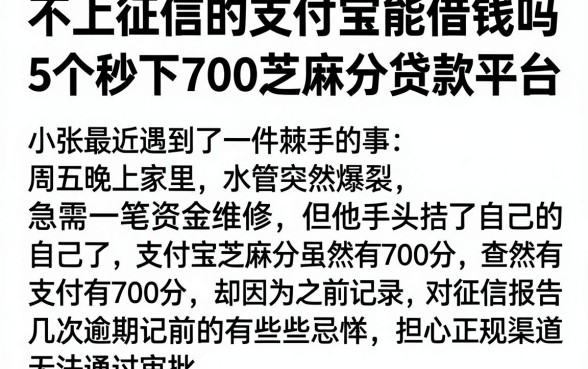 不上征信的支付宝能借钱吗，揭秘5个秒下700芝麻分贷款平台
