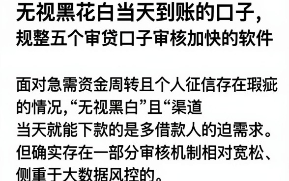 无视黑花白当天到账的口子,规整五个审贷口子审核加快的软件