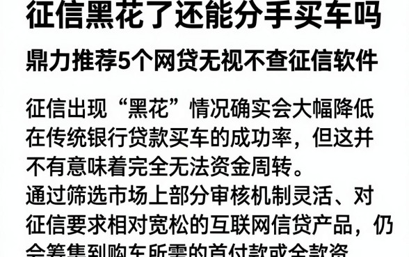 征信黑花了还能分手买车吗，鼎力推荐5个网贷无视不查征信软件