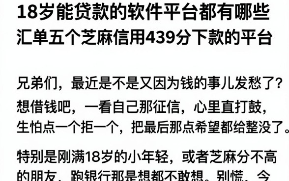 18岁能贷款的软件平台都有哪些,汇总五个芝麻信用439分下款的平台