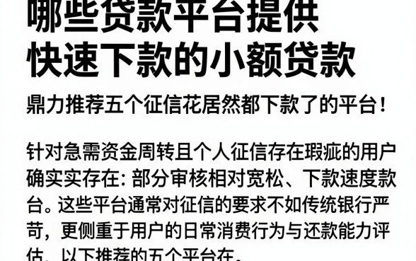 哪些贷款平台提供快速下款的小额贷款，鼎力推荐五个征信花居然都下款了的平台