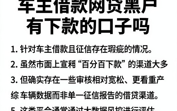 车主借款网贷黑户有下款的口子吗，枚举5个贷款好做不看征信的软件