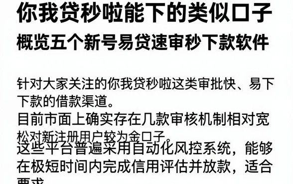 你我贷秒啦能下的类似口子,概览五个新号易贷速审秒下款软件