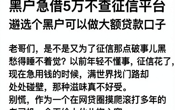 黑户急借5万不查征信平台,遴选五个黑户可以做大额贷款口子