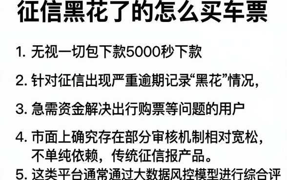 征信黑花了的怎么买车票,概括五个无视一切包下款5000秒下款的软件
