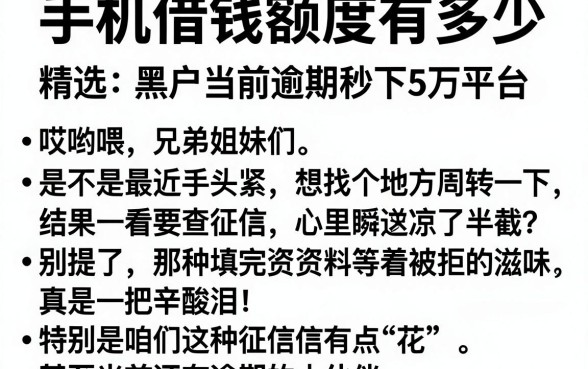 手机借钱额度有多少，精选五个黑户当前逾期秒下5万平台