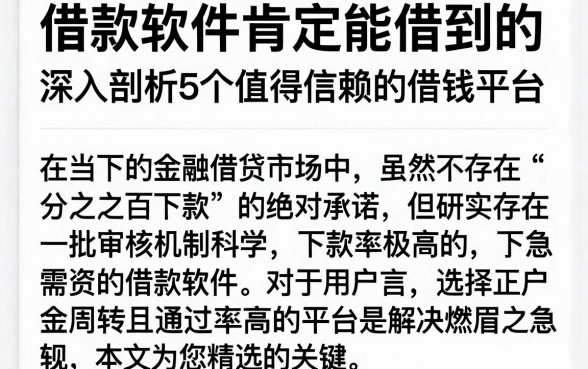 借款软件肯定能借到的,深入剖析5个值得信赖的借钱平台