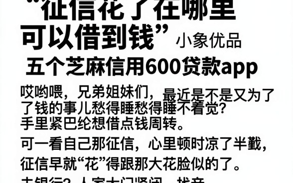 征信花了在哪里可以借到钱小象优品,揭秘五个芝麻信用600贷款app