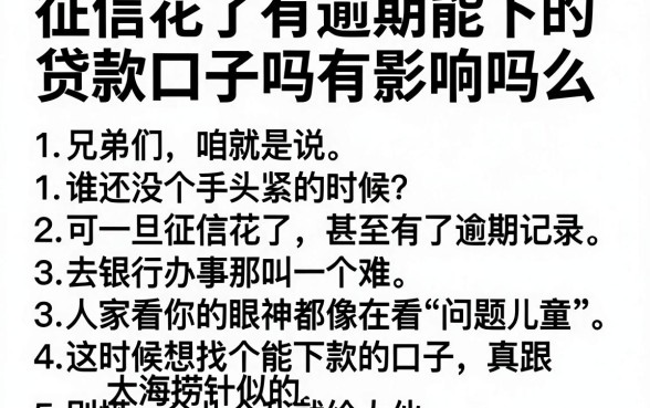 征信花了有逾期能下的贷款口子吗有影响吗么，罗列五个无视黑白100%秒下网贷