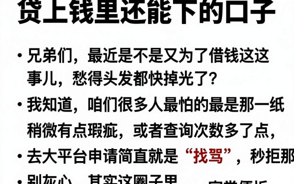 贷上钱里还能下的口子,汇总五个征信花了能网贷的软件