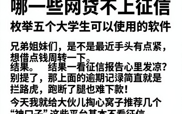 哪一些网贷不上征信,枚举五个大学生可以使用的软件