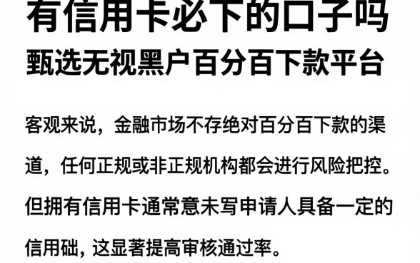 有信用卡必下的口子吗,甄选五个无视黑户百分百下款平台