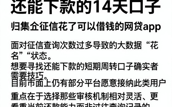 还能下款的14天口子,归集五个征信花了可以借钱的网贷app