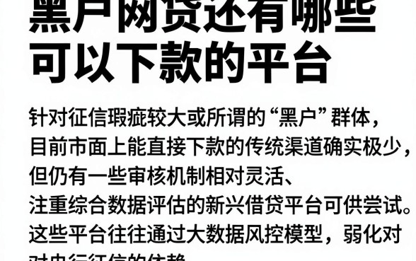 黑户网贷还有哪些可以下款的平台,归纳5个摆脱欠款束缚贷款新软件