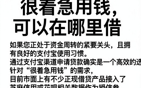 很着急用钱 可以在哪里借,整合5个凭支付宝花呗贷款的口子