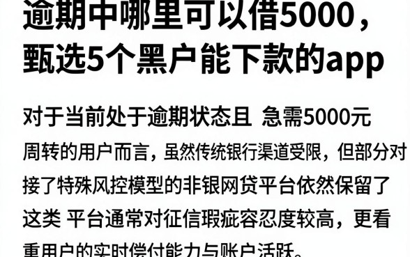 逾期中哪里可以借5000，甄选5个黑户能下款的app