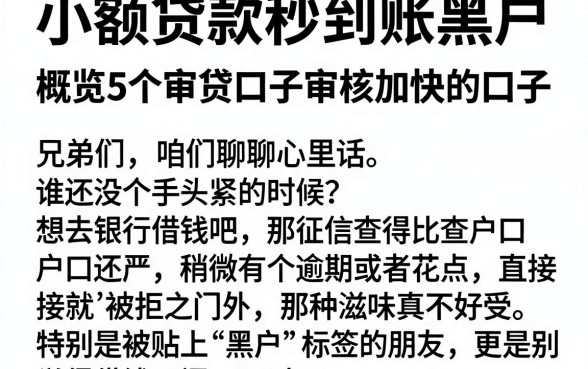 小额贷款秒到账黑户，概览5个审贷口子审核加快的口子