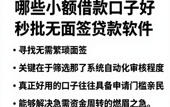 哪些小额借款口子好,陈列五个秒批无面签贷款软件
