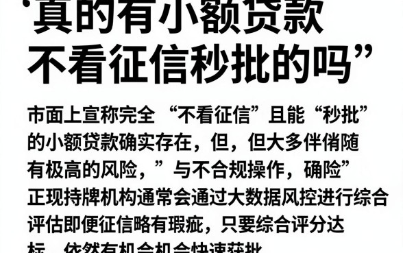 真的有小额贷款不看征信秒批的吗,精选5个借款口子最容易下软件